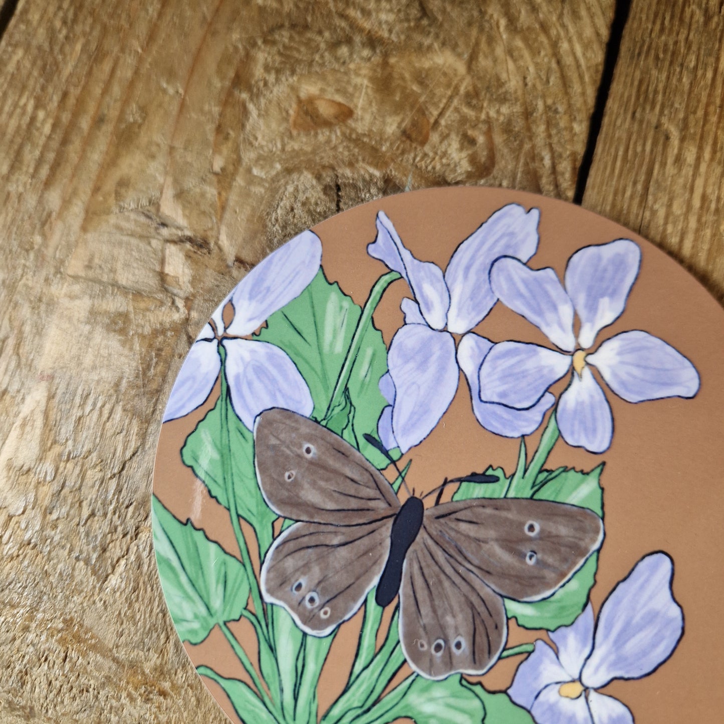 Ringlet Butterfly and Hairy Violet Drinks Coaster