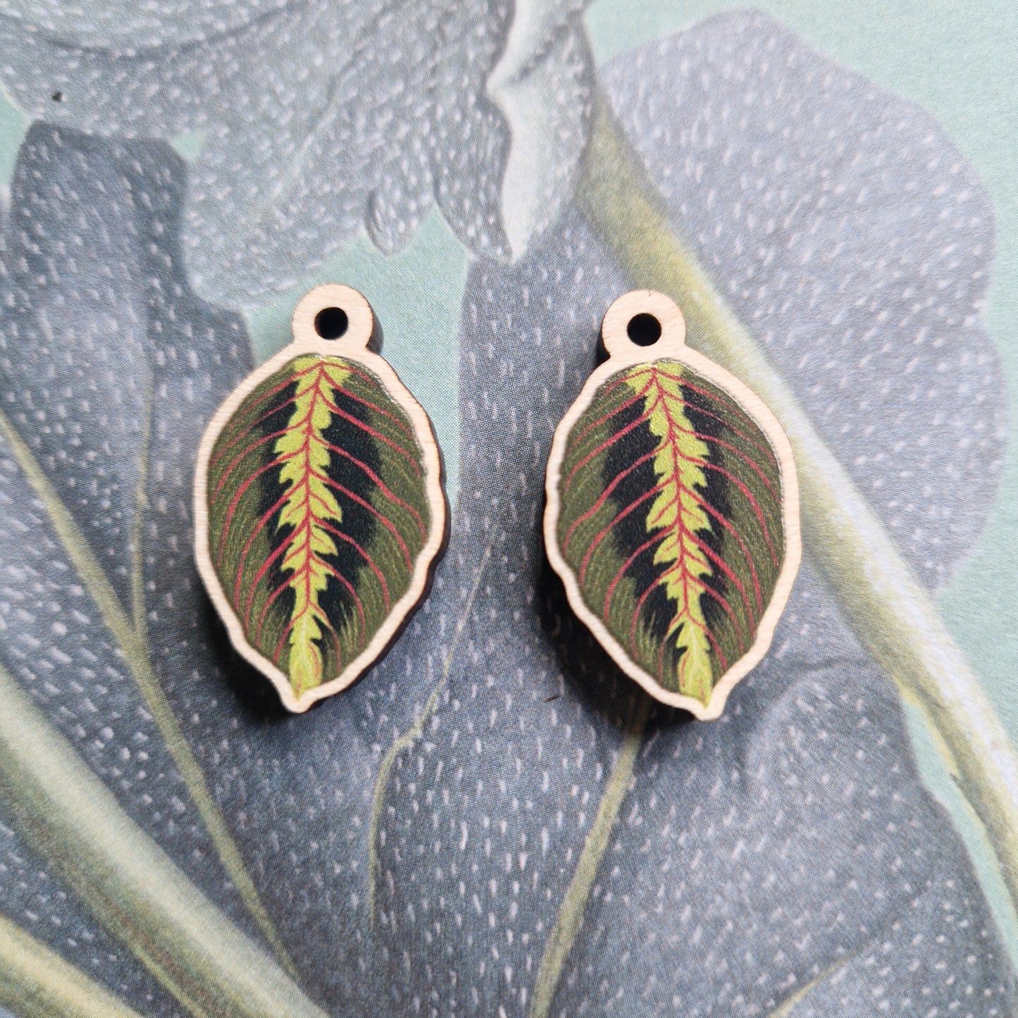 Prayer Plant Wood And Sterling Silver Houseplant Earrings