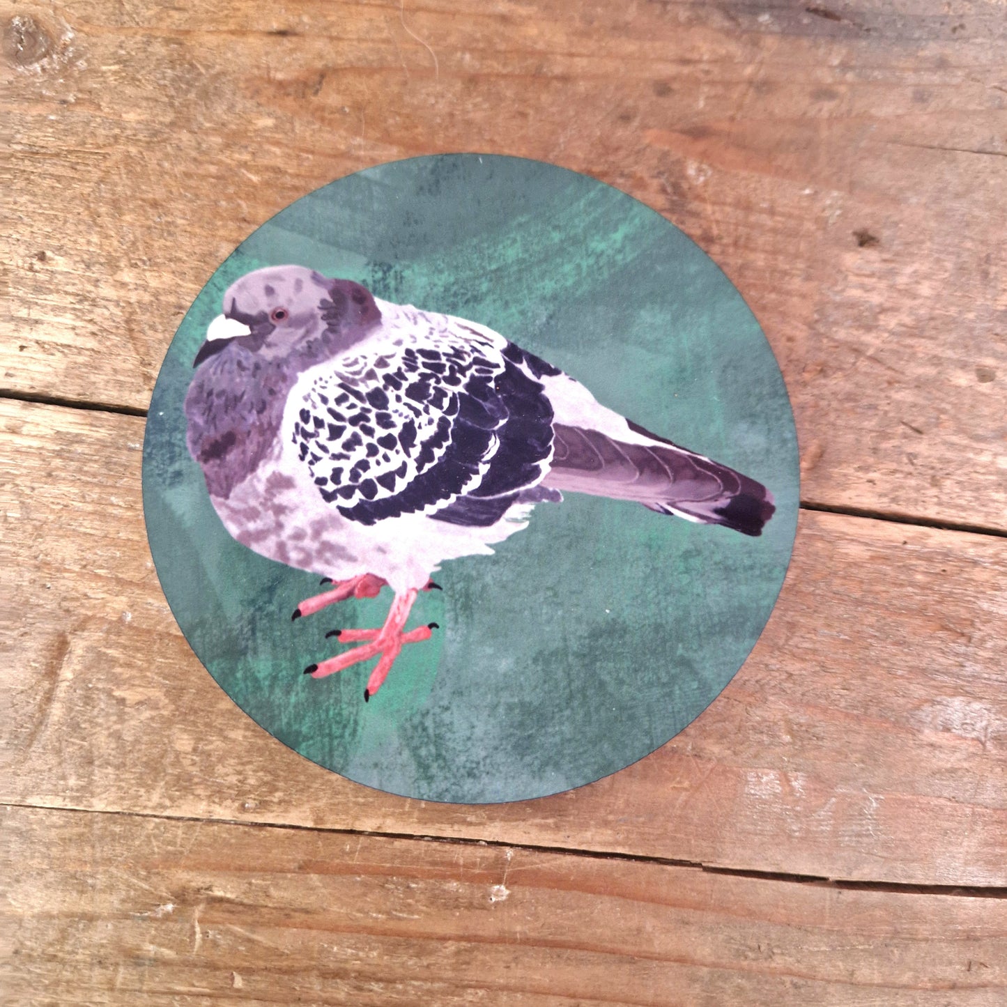 The Bert The Chonky Pigeon Coaster by Duck Egg Designs features a charming pigeon with white and gray feathers and pink feet, inspired by those at Cambridge Market, displayed on a rustic wooden surface.