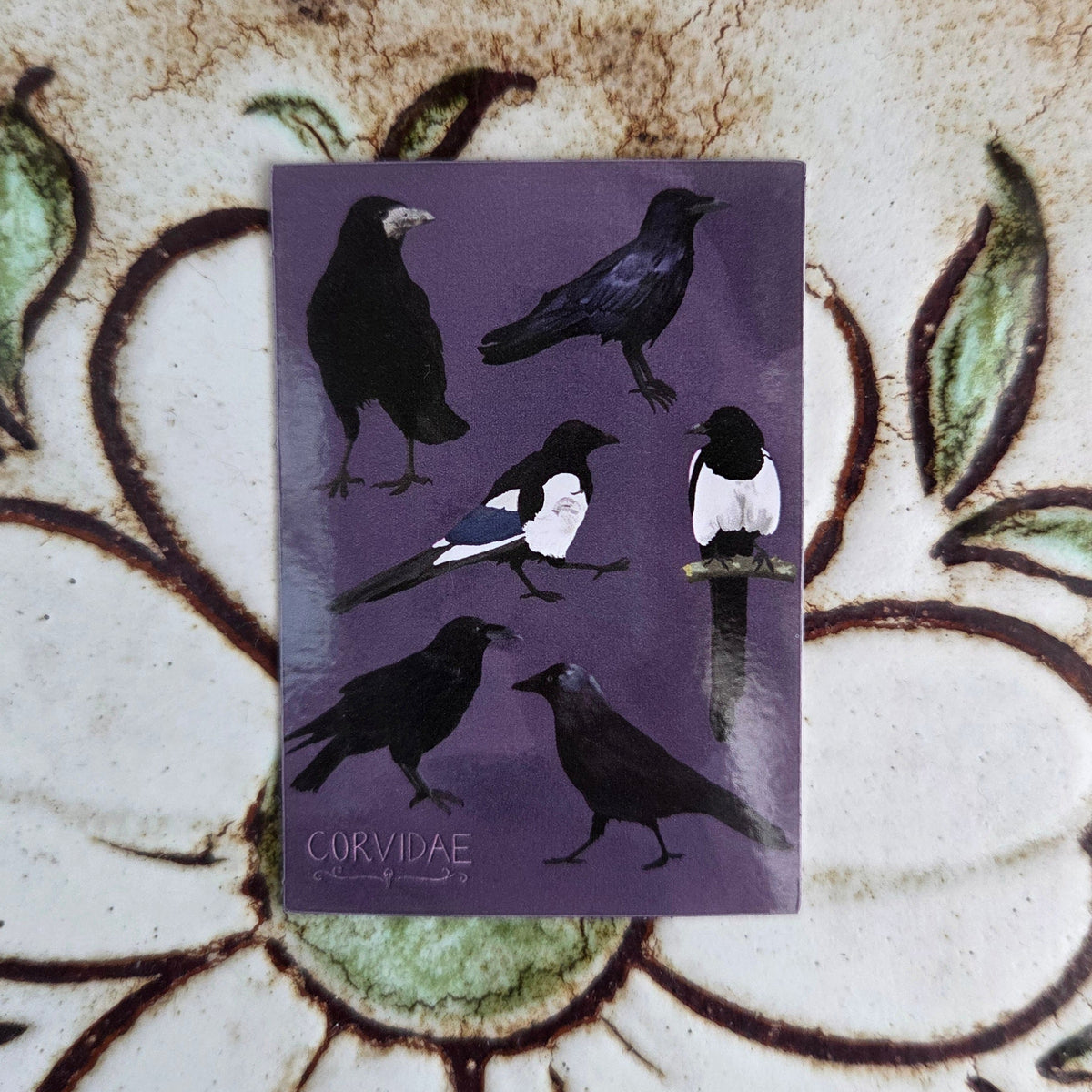 A purple rectangular sticker sits on a patterned ftile background. The sticker shows six corvids and the word 'CORVIDAE' in the bottom left corner.