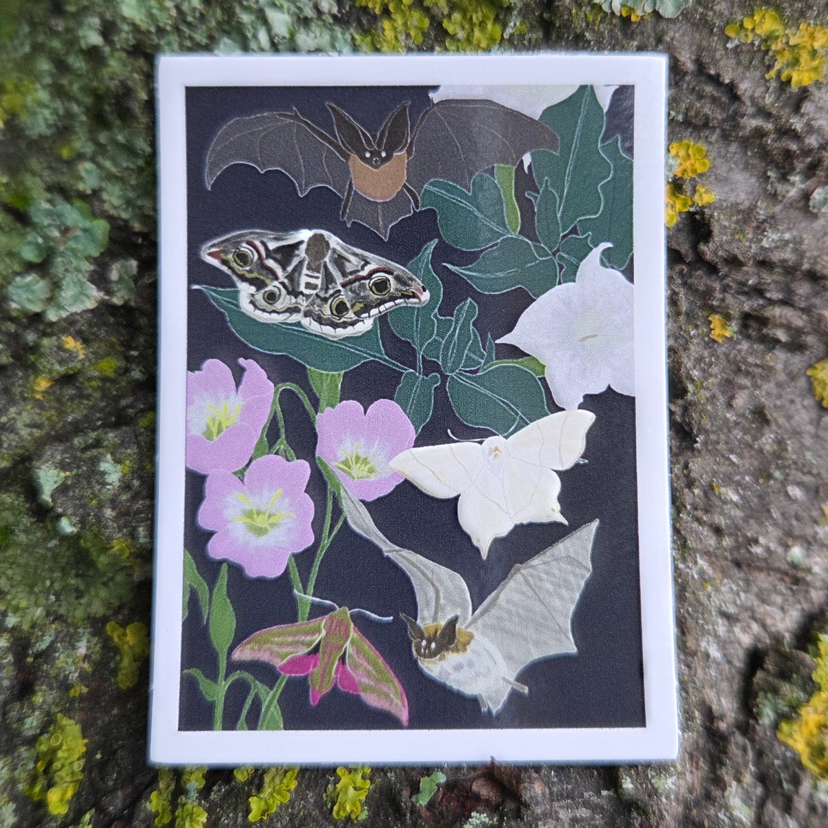 A rectangular sticker with a white border and a dark blue background with nocturnal moths, bats and plants sits on the the grey bark of a tree.