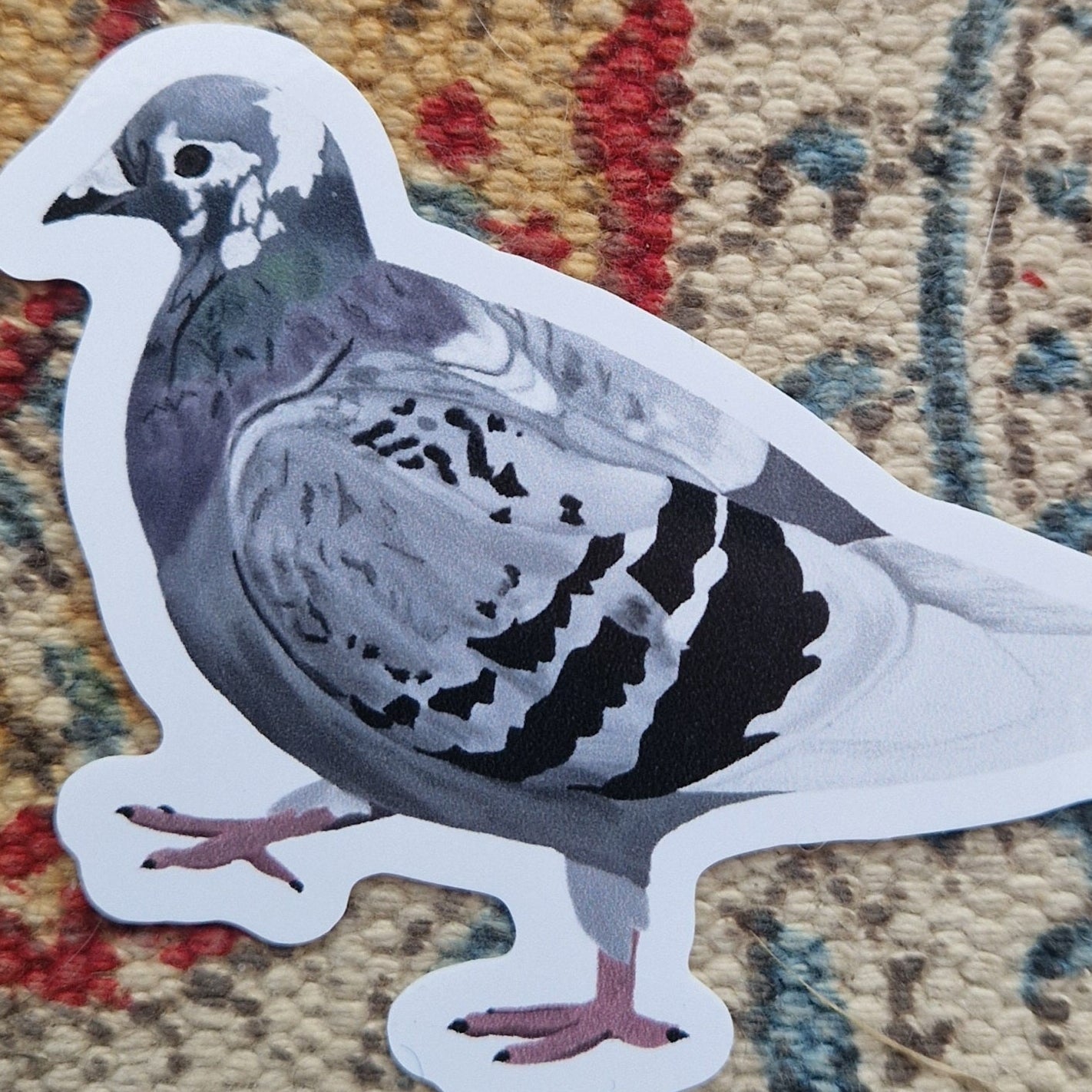 A close up of the pigeon sticker showing the details in their markings. The sticker sits on a fabric background.