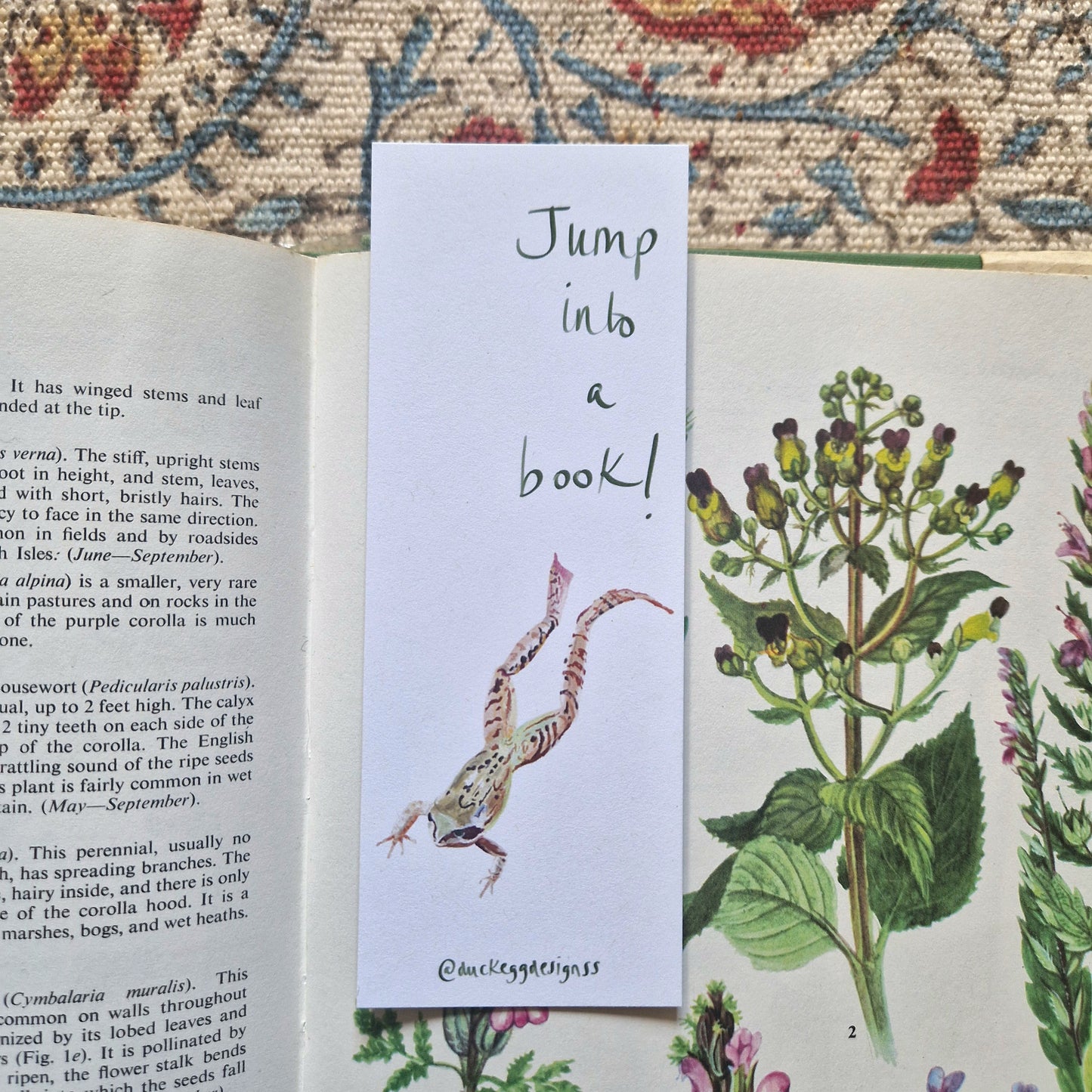 Jump Into A Book Frog Bookmark Made From Eco-Friendly Paper