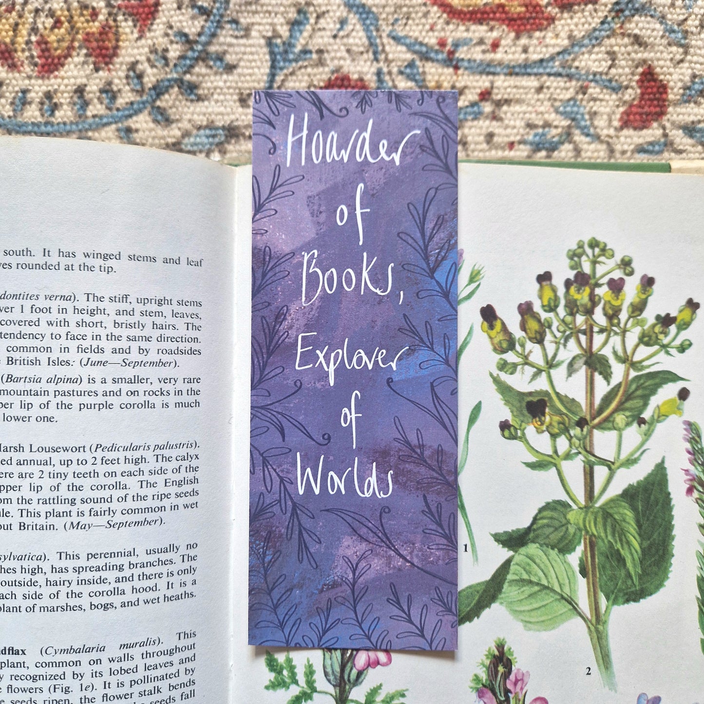Hoarder of Books, Explorer of Worlds Recycled Paper Double Sided Bookmark