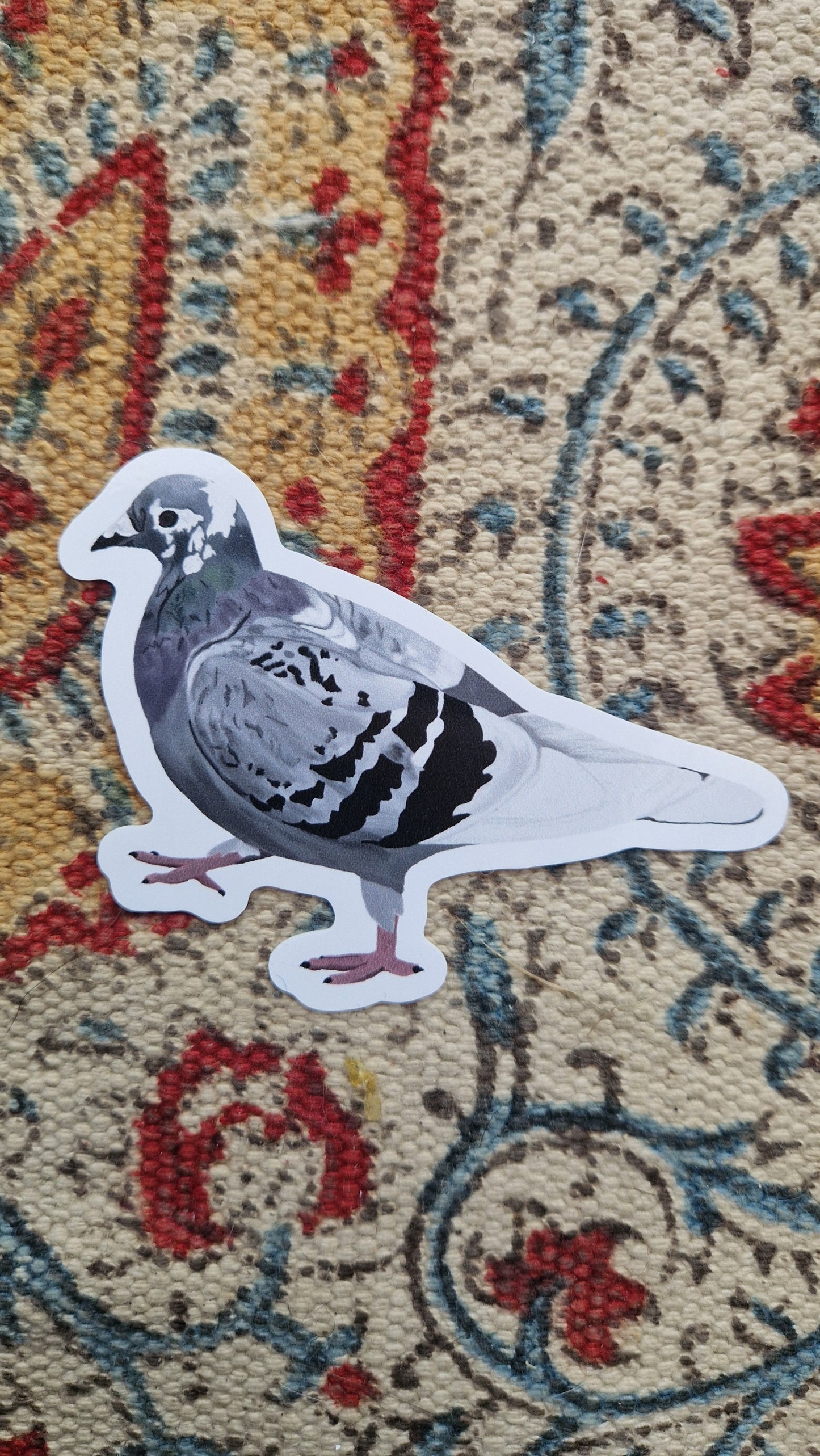 Sidney Pigeon Vinyl Sticker