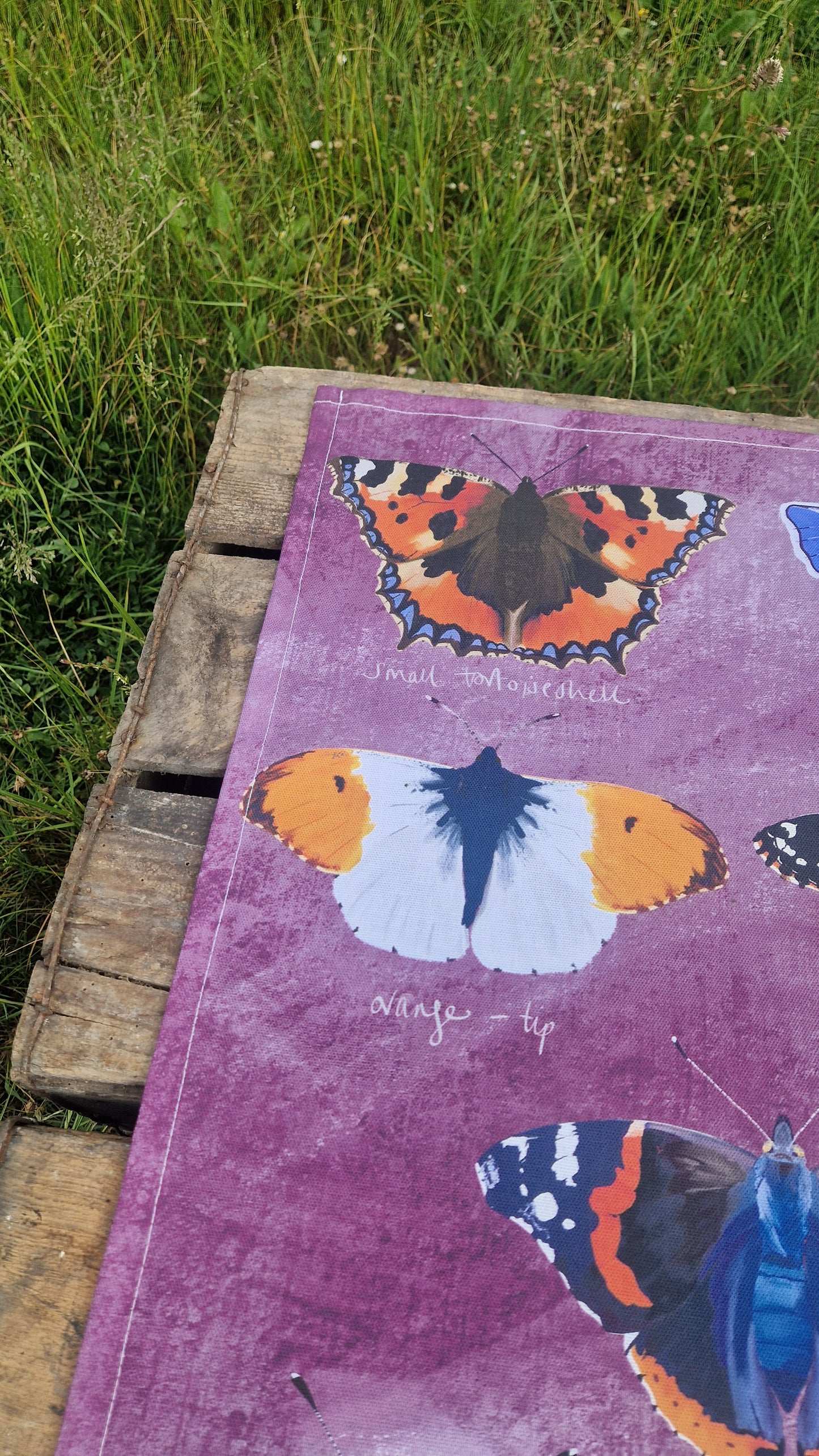 British Butterflies Colourful Cotton Teatowel