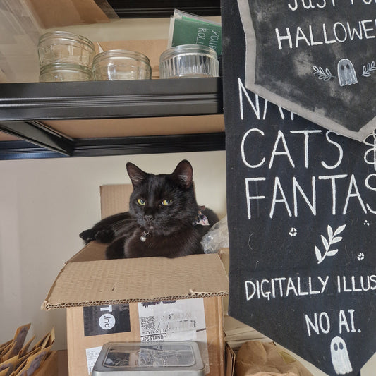 Cats (the obsession)