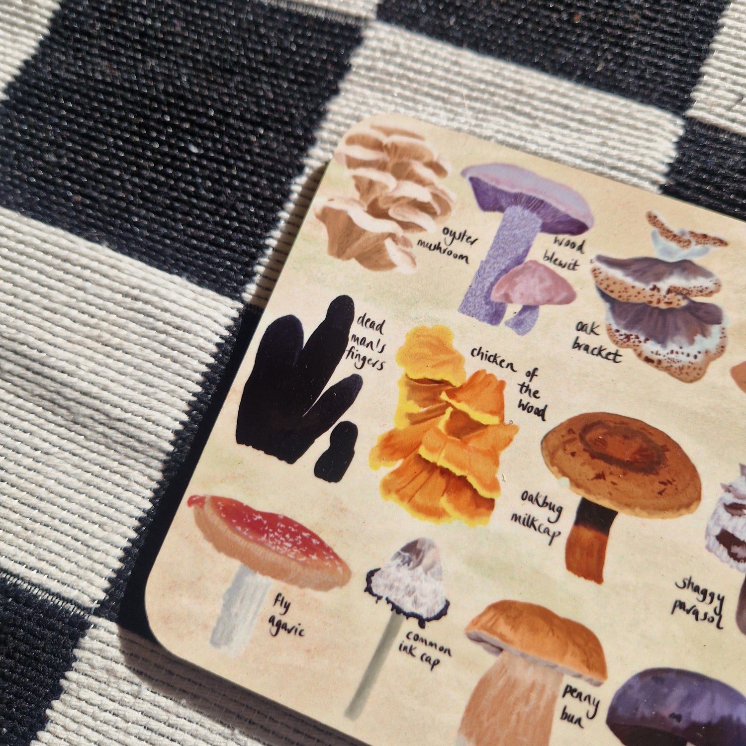 A square cream coloured coaster covered in 12 different fungi illustrations with their names written next to them in black handwriting. Behind the coaster is a black and white checkered fabric.