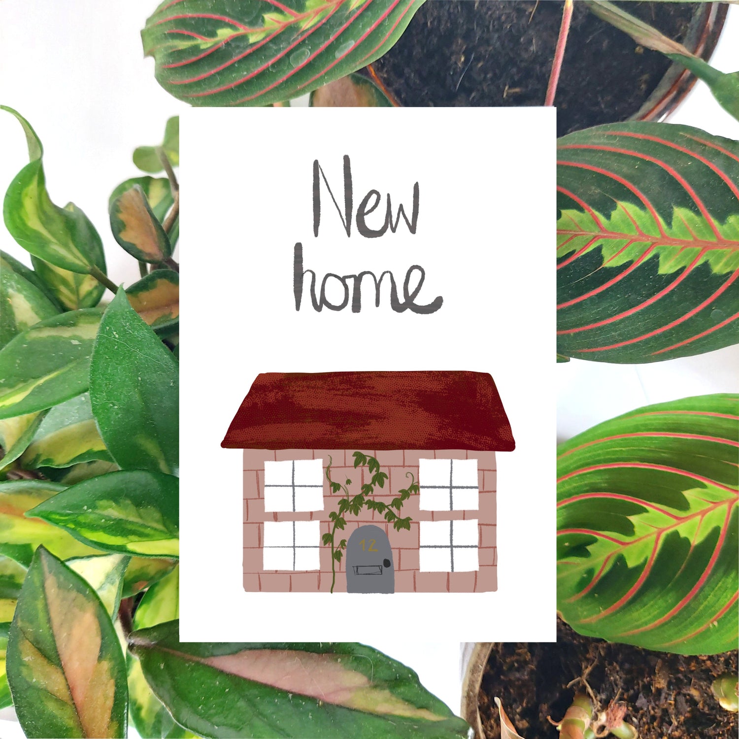 A white card featuring a cute red and pink house illustration with ivy growing up the walls underneath the words 'New home'. The card sits on top of some vibrant green houseplants.
