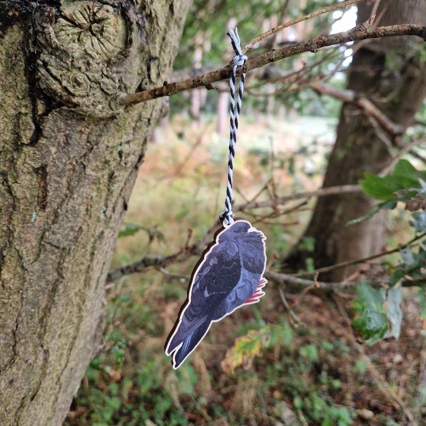 A black pigeon wooden decoration hangs from a white and black string from a tree branch in a green woods.
