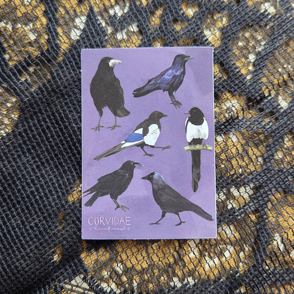 A purple rectangular sticker sits on a brown and black patterned fabric background. The sticker shows six corvids and the word 'CORVIDAE' in the bottom left corner. 