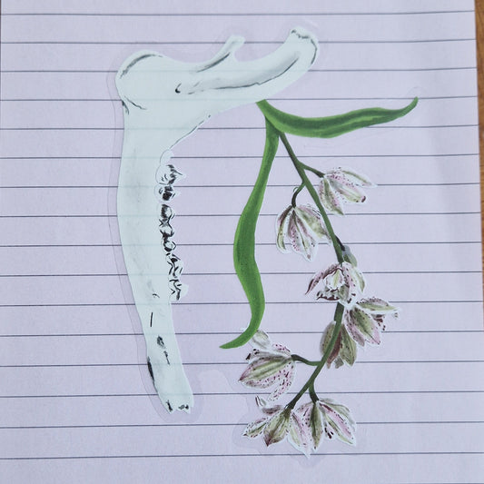 Deer jawbone and orchids sticker with pale pink, green and red flowers. The sticker has a translucent background and is stuck to a piece of lined lilac paper.