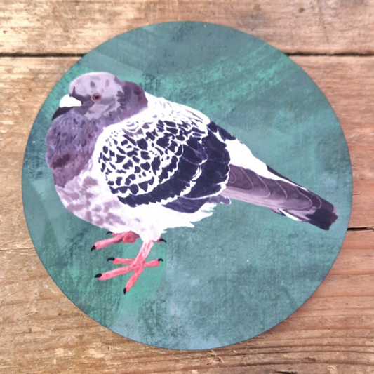 The Bert The Chonky Pigeon Coaster by Duck Egg Designs is a round coaster with cork backing, featuring a speckled pigeon on a green background—ideal for adding charm to your table or as a Cambridge Market souvenir.
