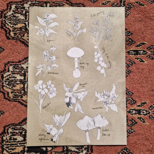 A beige backgrounded print with white and black botanical illustration of poisonous plants and fungi. Behind the print is a red patterned fabric background.