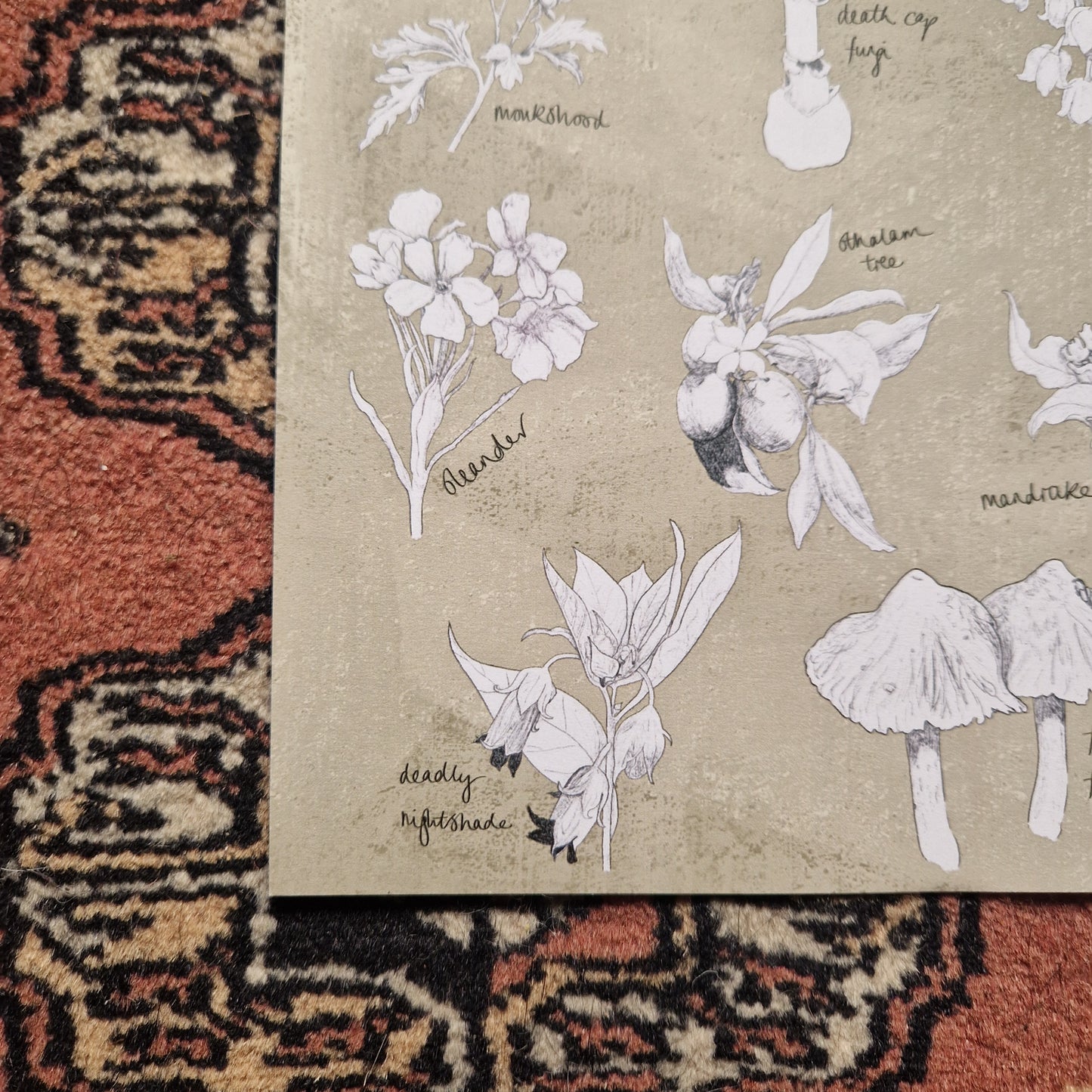 A close up of the beige textured background print showing the detail of the  white and black plant illustrations. Behind the print is a red and beige patterned fabric.