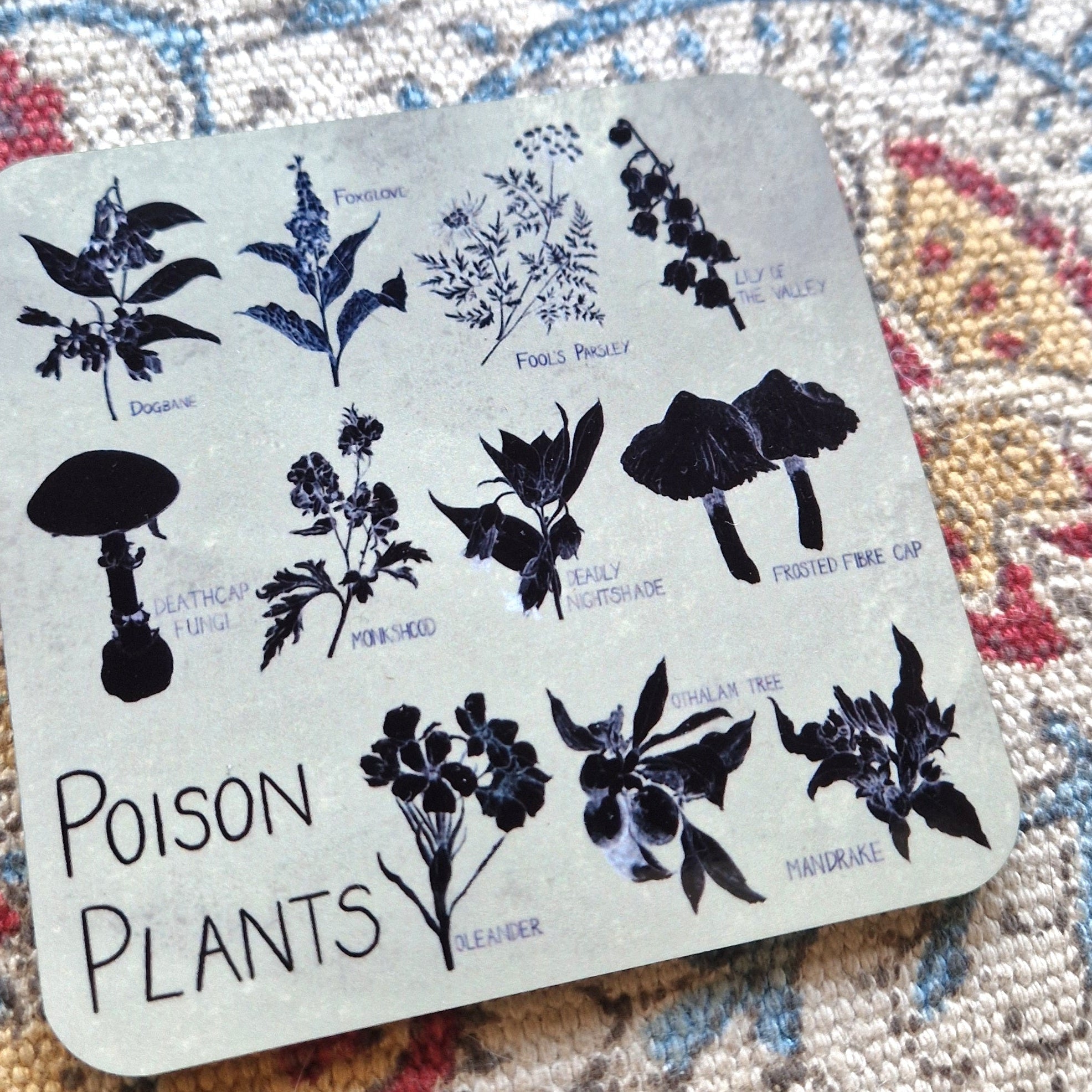 Poison Plants Deadly Plants Drinks Coaster – Duck Egg Designs