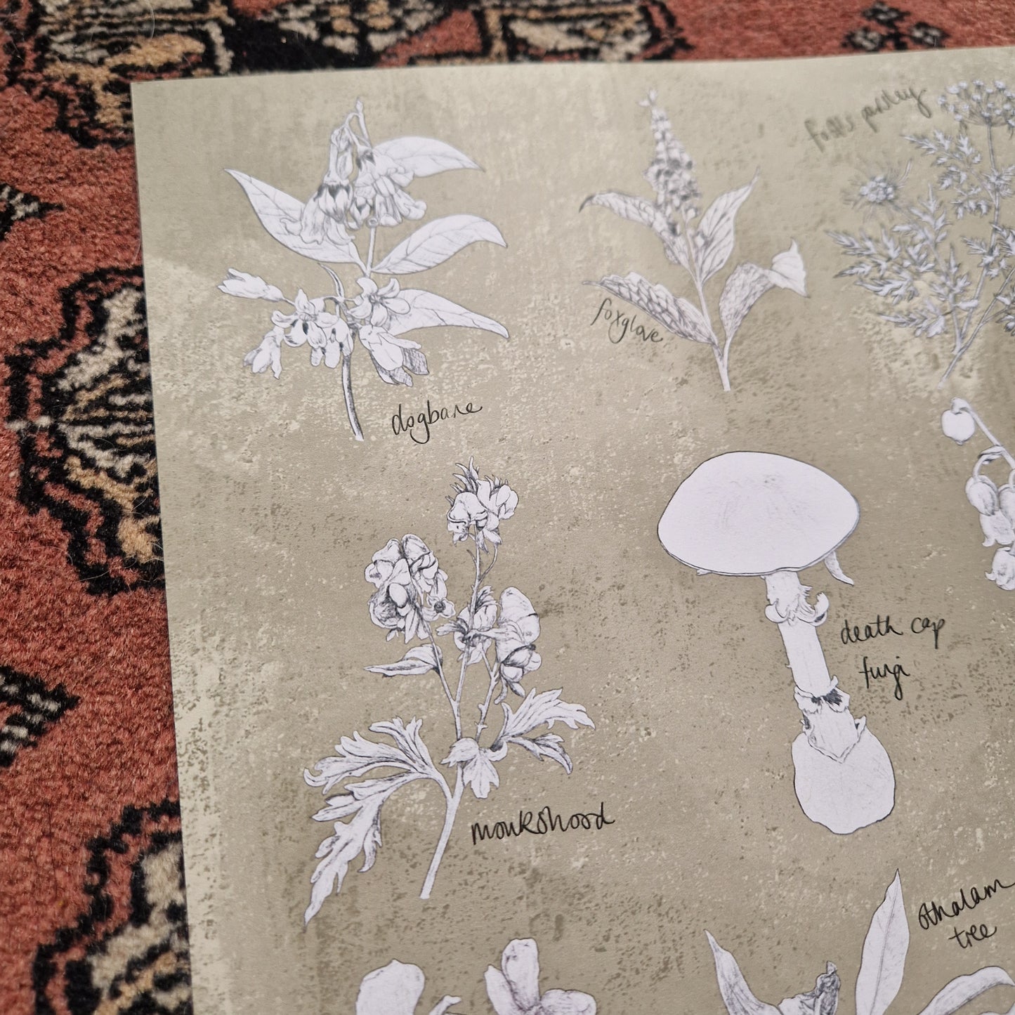 A close up of the print showing the detail in the white and black poison plant illustrations. The plants are on a beige textured background and the print is on a red patterned fabric.