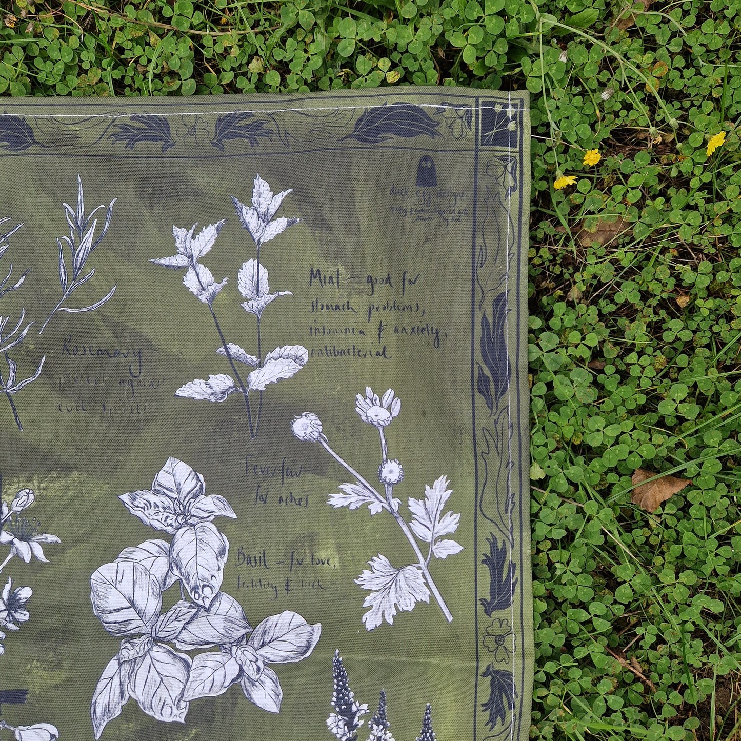 A close up of the mottled green tea towel featuring a black leaf and flower border surrounding white and black botanical plant illustrations with handwritten notes in black of their names and uses.
