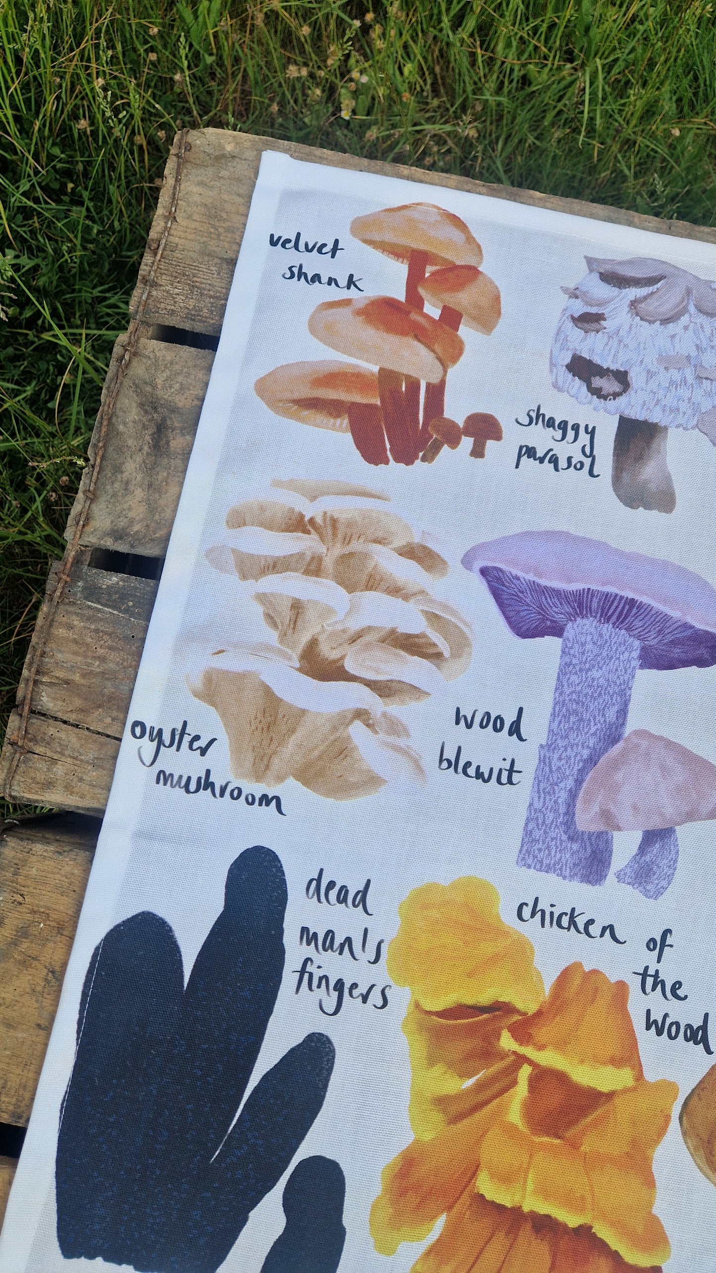 British Fungi Cotton Tea Towel