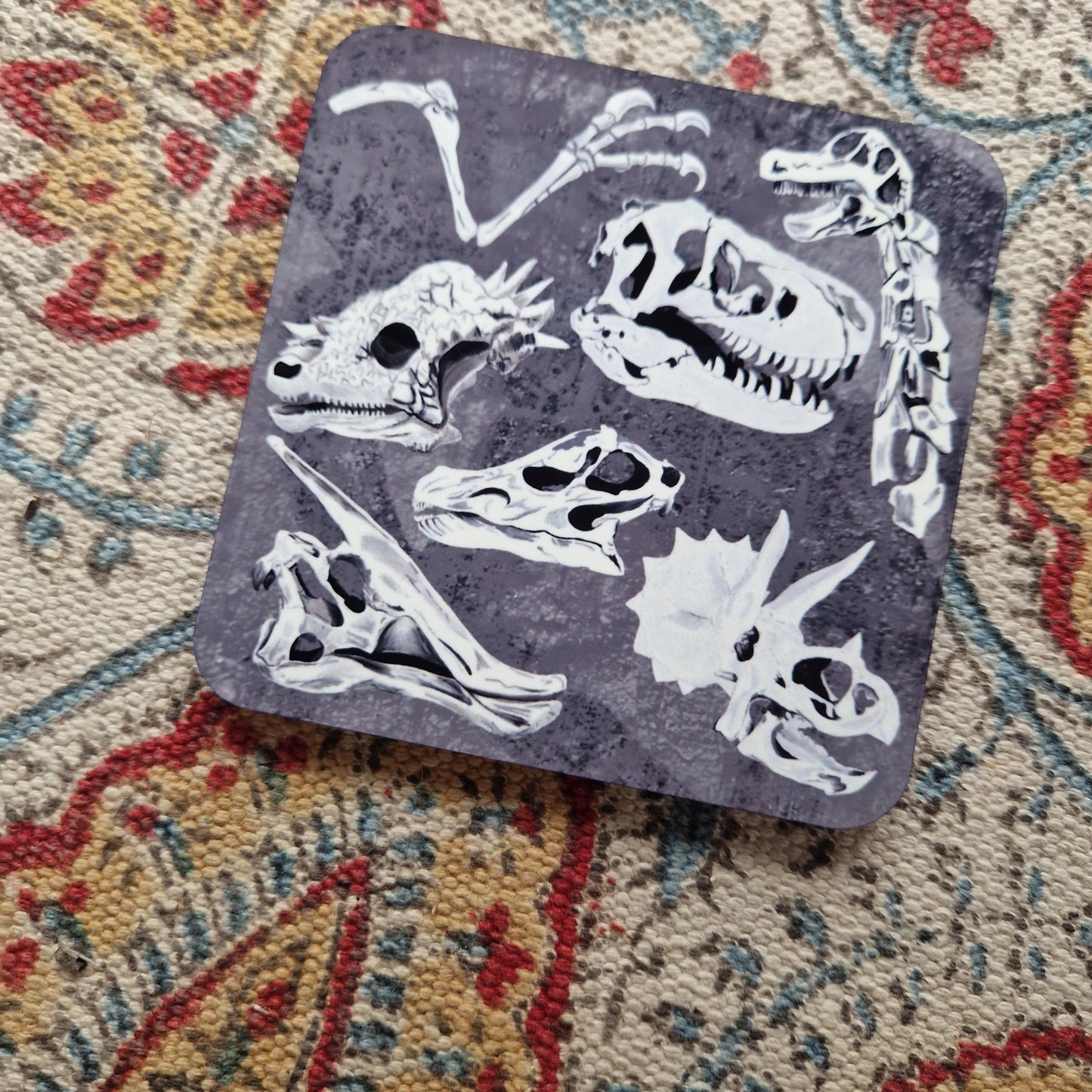Dinosaur Bones Illustrated Square Drinks Coaster