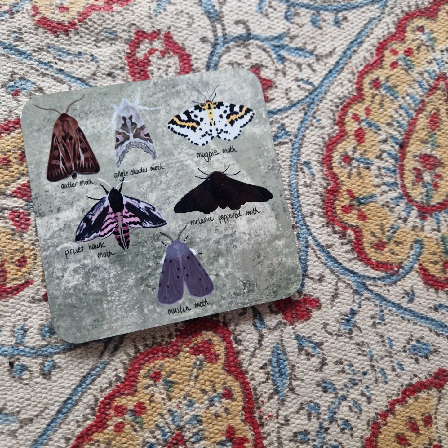 British Moths Square Drinks Coaster