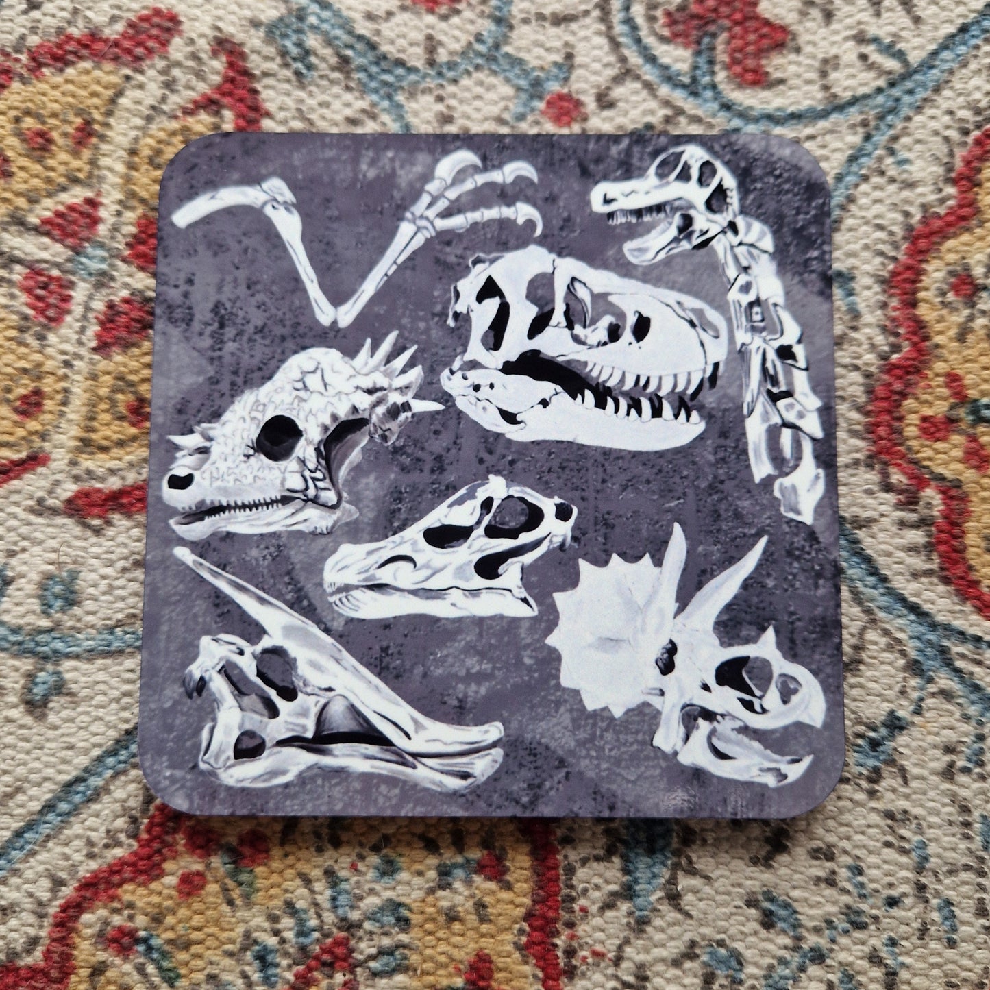 Dinosaur Bones Illustrated Square Drinks Coaster