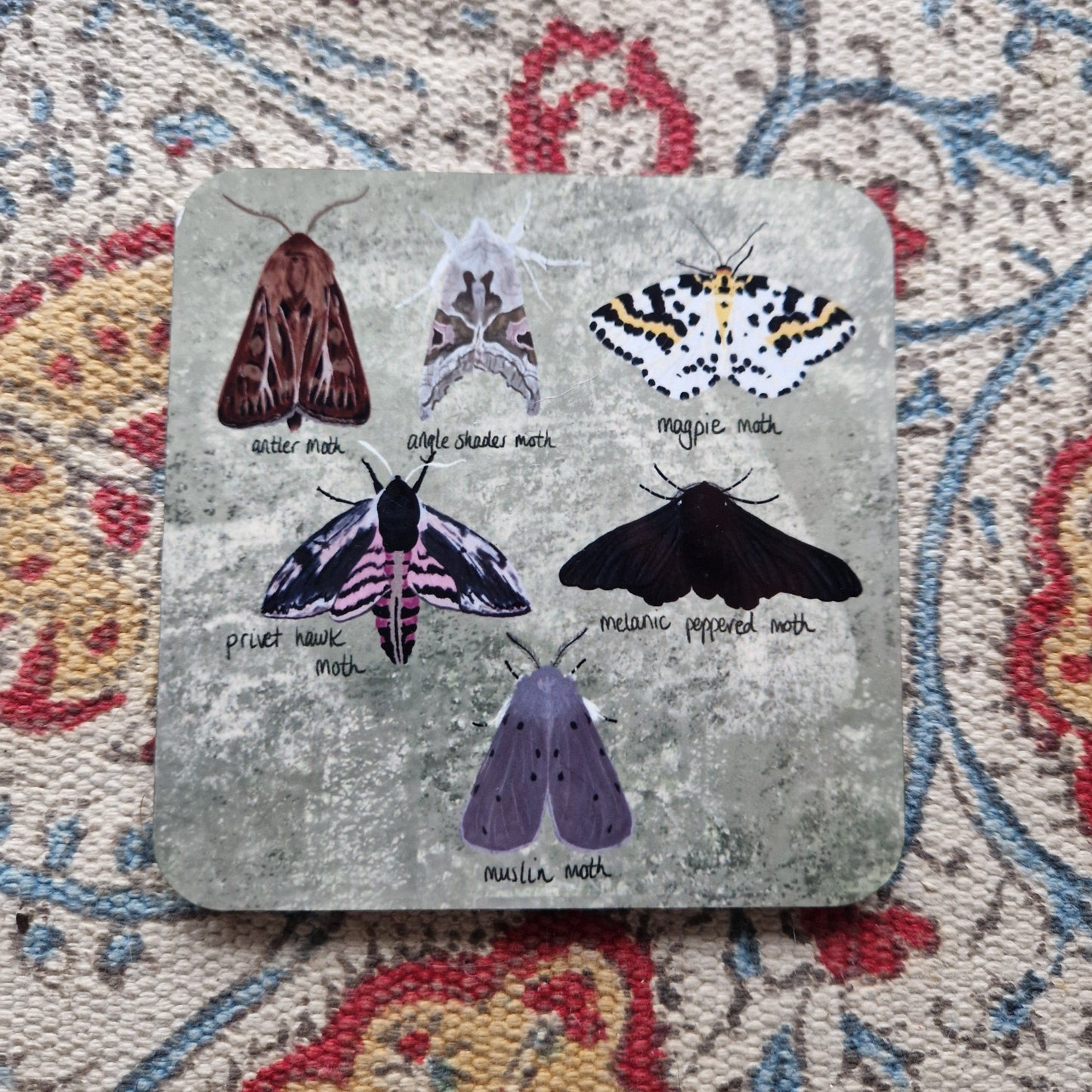 British Moths Square Drinks Coaster