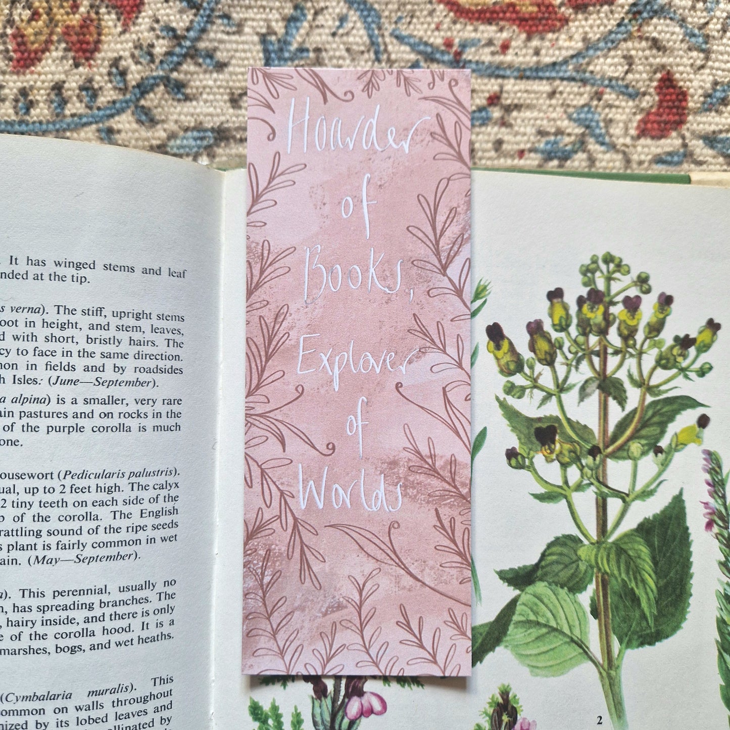 Hoarder of Books, Explorer of Worlds Recycled Paper Double Sided Bookmark