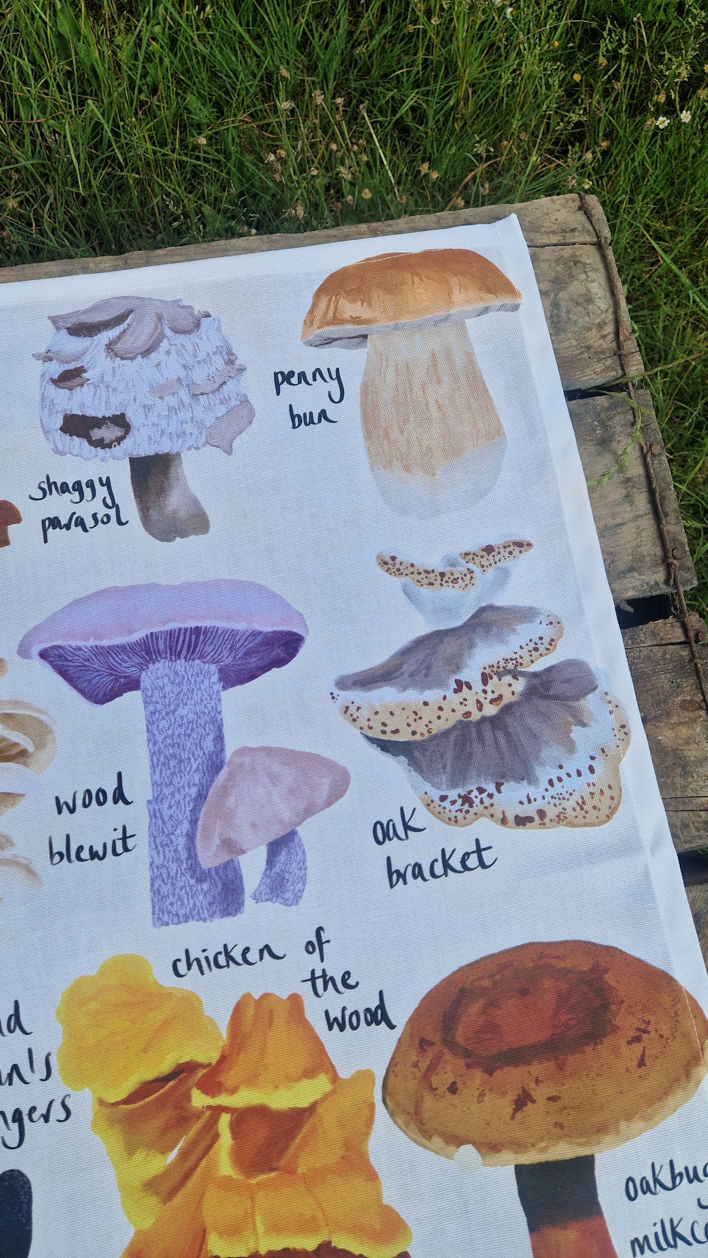British Fungi Cotton Tea Towel